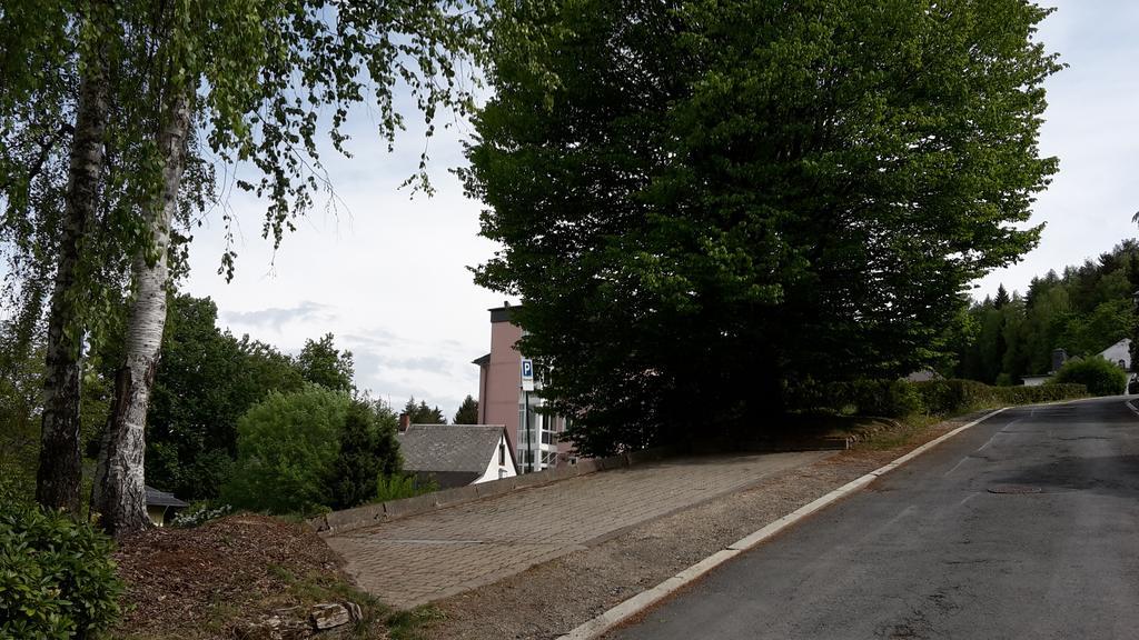 Villa Goldbrunnen Ferienwohnung 3 Bad Elster Kültér fotó