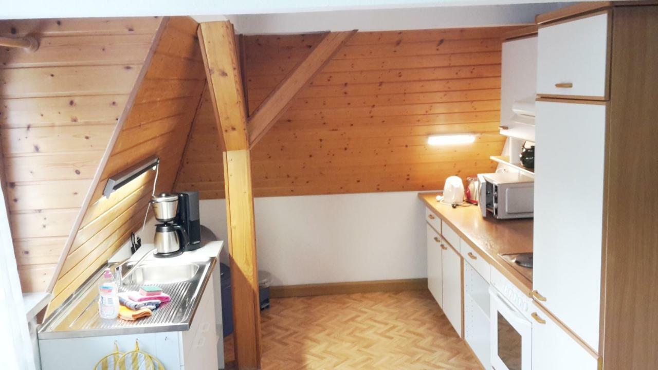 Villa Goldbrunnen Ferienwohnung 3 Bad Elster Kültér fotó